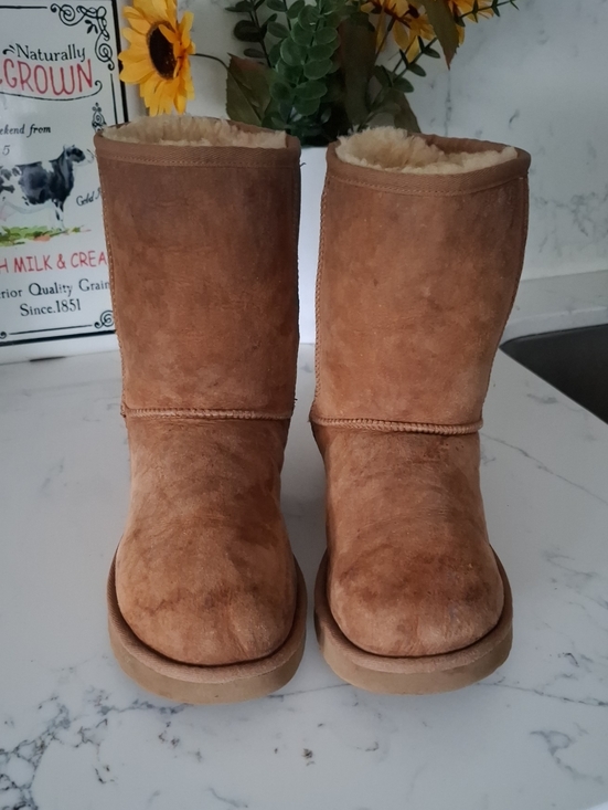 UGG Shoes - Ugg Women’s Chestnut Suede Shearling Lined Winter Boots